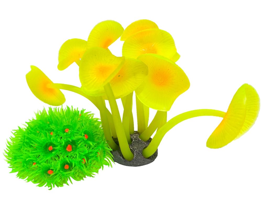 Ocean Free doua anemone pentru acvariu Y127 2 Ocean Free doua anemone pentru acvariu Y127