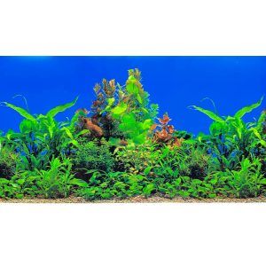 Fundal acvariu 2D Paradis verde 100 X 50 cm