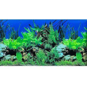 Fundal acvariu Aquatic Eden 100 X 50 cm