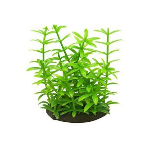 Plante verzi artificiale Egeria verde 9 cm sunt plante artificiale versatile; ca plante decorative artificiale aduc naturalul in acvariu, iar dimensiunea lor le incadreaza drept plante artificiale mici usor de plasat oriunde.