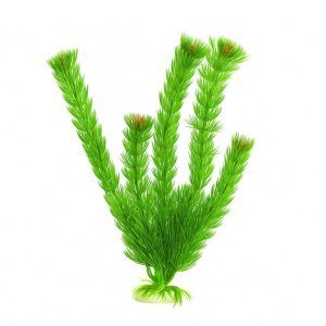 Flori de acvariu artificiale Flowering Diandra 20 cm creeaza verde intens si varfuri rosiatice; plante artificiale cu baza ceramica solida, planta decorativa artificiala sigura pentru pesti, usor de clatit, ideala pentru aquascaping rapid.