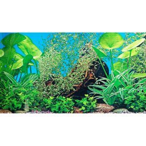 Poster acvariu 30x100cm cu plante tropicale verzi, perfect ca fundal acvariu pentru a crea un background acvariu realist. Acest autocolant acvariu oferit are design captivant, iar efectul de autocolant acvariu 3D adauga adancime si pune in valoare frumusetea pestilor din bazin.