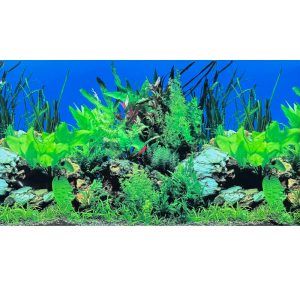 Imagine ce prezinta Poster acvariu plante acvatice cu imprimeu 3D, fiind un fundal acvariu perfect pentru a oferi un background acvariu realist. Acest autocolant acvariu se monteaza simplu, imbogatind decorul si oferind un peisaj atractiv pentru pesti.