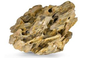 Dragonstone roca acvariu per bucata DS38