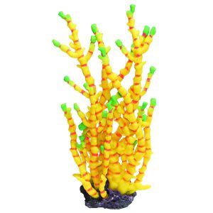 Coral galben pentru acvariu adauga un strop de luminozitate in decorul tau acvatic. Perfect pentru recif corali, acest ornament acvariu este alegerea ideala pentru pasionatii de corali pentru acvariu care doresc un ambient viu si natural.