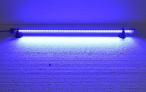 Lampa submersibila led 50 cm, ideala pentru acvariu. Lampa led acvariu 50 cm ofera o lumina albastra acvariu pentru un efect vizual captivant. Lampa submersibila led 50 cm lumina albastra acvariu este alegerea perfecta pentru pasionatii de acvaristica care doresc sa ofere un mediu captivant si atragator pestilor lor. Aceasta lampa led acvariu este special conceputa pentru a oferi o lumina albastra acvariu, adaugand un efect vizual deosebit si contribuind la sanatatea si vitalitatea ecosistemului acvatic. Caracteristici principale: Dimensiuni optime: Cu o lungime de 50 cm si un diametru de 18 mm, lampa se potriveste perfect in diverse tipuri de acvarii, fie ca sunt de dimensiuni mici sau mari. Este ideala pentru acvarii de apa dulce si sarata. Lumina albastra captivanta: Cele 55 de leduri albastre de ultima generatie ofera o luminozitate ridicata, creand un efect de “moonlight” (lumina lunii) care imita perfect lumina naturala a lunii pe timpul noptii. Aceasta lumina albastra acvariu nu doar ca infrumuseteaza acvariul, dar ofera si un mediu linistitor pentru pesti, stimulandu-le comportamentul natural nocturn. Consum redus de energie: Cu un consum de doar 2,5 W, aceasta lampa led acvariu 50 cm este extrem de eficienta din punct de vedere energetic, contribuind la reducerea costurilor pe termen lung. In plus, durata de viata indelungata a ledurilor asigura un iluminat constant si de calitate fara necesitatea de a schimba des sursa de lumina. Versatilitate in utilizare: Lampa poate fi montata atat deasupra acvariului, cat si sub nivelul apei, fiind complet submersibila. De asemenea, aceasta lampa submersibila led 50 cm poate fi utilizata in iazuri, fantani arteziene sau chiar in alte spatii interioare cum ar fi vitrine sau bai, datorita rezistentei sale la apa si a capacitatii de a crea efecte de lumina spectaculoase. Instalare usoara si sigura: Lampa vine echipata cu un cablu de alimentare de 117 cm, suficient de lung pentru a permite o instalare flexibila. Ventuzele incluse asigura o fixare ferma pe geamul acvariului, iar faptul ca este gata de pus in functiune imediat dupa despachetare face ca instalarea sa fie rapida si fara complicatii. Beneficii: Imbunatateste aspectul acvariului: Lampa submersibila led 50 cm lumina albastra acvariu transforma complet aspectul acvariului, adaugand un plus de eleganta si rafinament. Lumina albastra creeaza un efect de adancime si mister, ideal pentru a scoate in evidenta culorile vibrante ale pestilor si plantelor acvatice. Protejeaza pestii: Spre deosebire de alte surse de iluminat, aceasta lampa nu degaja caldura si nu emite radiatii UV, ceea ce o face sigura pentru pesti si plante. Nu contine parti ascutite, reducand riscul de accidentari. Durabilitate si fiabilitate: Constructia robusta si materialele de calitate superioara asigura o durata lunga de viata, chiar si in conditii de utilizare intensa. Sticla rezistenta la apa protejeaza ledurile si garanteaza o performanta constanta in timp. Flexibilitate in aplicatii: Pe langa utilizarea in acvarii, aceasta lampa este ideala pentru a ilumina iazuri, fantani arteziene sau chiar spatii interioare care necesita un iluminat discret, dar eficient. Concluzie: Lampa submersibila led 50 cm lumina albastra acvariu este solutia ideala pentru cei care doresc sa aduca un plus de frumusete si functionalitate acvariului lor. Cu un consum redus de energie, o luminozitate remarcabila si o versatilitate ridicata, aceasta lampa led acvariu 50 cm reprezinta investitia perfecta pentru orice iubitor de acvaristica. Alegeti aceasta lampa pentru a va bucura de un spectacol de lumina deosebit si pentru a oferi pestilor un mediu natural si sanatos. Lampa submersibila led 50 cm lumina albastra acvariu este alegerea perfecta pentru pasionatii de acvaristica care doresc sa ofere un mediu captivant si atragator pestilor lor. Aceasta lampa led acvariu este special conceputa pentru a oferi o lumina albastra acvariu, adaugand un efect vizual deosebit si contribuind la sanatatea si vitalitatea ecosistemului acvatic. Caracteristici principale: Dimensiuni optime: Cu o lungime de 50 cm si un diametru de 18 mm, lampa se potriveste perfect in diverse tipuri de acvarii, fie ca sunt de dimensiuni mici sau mari. Este ideala pentru acvarii de apa dulce si sarata. Lumina albastra captivanta: Cele 55 de leduri albastre de ultima generatie ofera o luminozitate ridicata, creand un efect de “moonlight” (lumina lunii) care imita perfect lumina naturala a lunii pe timpul noptii. Aceasta lumina albastra acvariu nu doar ca infrumuseteaza acvariul, dar ofera si un mediu linistitor pentru pesti, stimulandu-le comportamentul natural nocturn. Consum redus de energie: Cu un consum de doar 2,5 W, aceasta lampa led acvariu 50 cm este extrem de eficienta din punct de vedere energetic, contribuind la reducerea costurilor pe termen lung. In plus, durata de viata indelungata a ledurilor asigura un iluminat constant si de calitate fara necesitatea de a schimba des sursa de lumina. Versatilitate in utilizare: Lampa poate fi montata atat deasupra acvariului, cat si sub nivelul apei, fiind complet submersibila. De asemenea, aceasta lampa submersibila led 50 cm poate fi utilizata in iazuri, fantani arteziene sau chiar in alte spatii interioare cum ar fi vitrine sau bai, datorita rezistentei sale la apa si a capacitatii de a crea efecte de lumina spectaculoase. Instalare usoara si sigura: Lampa vine echipata cu un cablu de alimentare de 117 cm, suficient de lung pentru a permite o instalare flexibila. Ventuzele incluse asigura o fixare ferma pe geamul acvariului, iar faptul ca este gata de pus in functiune imediat dupa despachetare face ca instalarea sa fie rapida si fara complicatii. Beneficii: Imbunatateste aspectul acvariului: Lampa submersibila led 50 cm lumina albastra acvariu transforma complet aspectul acvariului, adaugand un plus de eleganta si rafinament. Lumina albastra creeaza un efect de adancime si mister, ideal pentru a scoate in evidenta culorile vibrante ale pestilor si plantelor acvatice. Protejeaza pestii: Spre deosebire de alte surse de iluminat, aceasta lampa nu degaja caldura si nu emite radiatii UV, ceea ce o face sigura pentru pesti si plante. Nu contine parti ascutite, reducand riscul de accidentari. Durabilitate si fiabilitate: Constructia robusta si materialele de calitate superioara asigura o durata lunga de viata, chiar si in conditii de utilizare intensa. Sticla rezistenta la apa protejeaza ledurile si garanteaza o performanta constanta in timp. Flexibilitate in aplicatii: Pe langa utilizarea in acvarii, aceasta lampa este ideala pentru a ilumina iazuri, fantani arteziene sau chiar spatii interioare care necesita un iluminat discret, dar eficient. Concluzie: Lampa submersibila led 50 cm lumina albastra acvariu este solutia ideala pentru cei care doresc sa aduca un plus de frumusete si functionalitate acvariului lor. Cu un consum redus de energie, o luminozitate remarcabila si o versatilitate ridicata, aceasta lampa led acvariu 50 cm reprezinta investitia perfecta pentru orice iubitor de acvaristica. Alegeti aceasta lampa pentru a va bucura de un spectacol de lumina deosebit si pentru a oferi pestilor un mediu natural si sanatos.