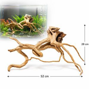 Lemn Red Moor pentru acvariu TW14 – radacini lemn acvariu unice, perfecte pentru decor, radacini acvariu de vanzare la calitate superioara!
