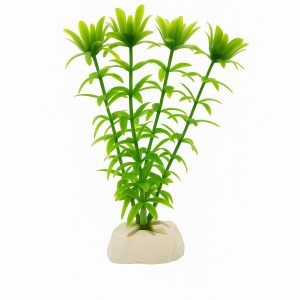 Plante artificiale verzi Anacharis 13 cm, plante artificiale ideale pentru nano acvarii. Plante artificiale decorative realiste, plante artificiale pentru acvariu non-toxice, ofera culoare si ascunzisuri pestilor. Titlu: Plante artificiale verzi acvariu Anacharis 13 cm.