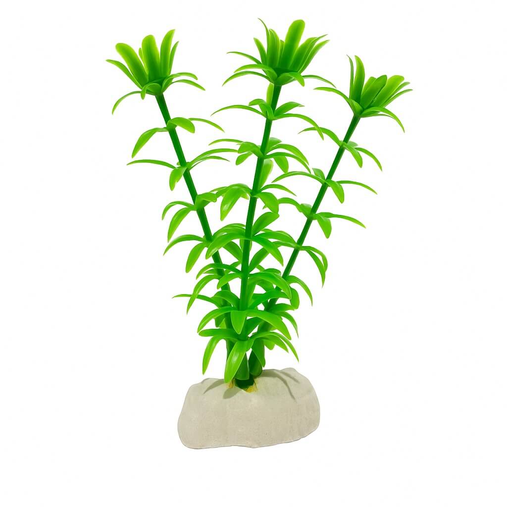Plante artificiale verzi acvariu Anacharis 13 cm 3 Plante artificiale verzi adauga profunzime acvariului tau. Alege aceste plante artificiale rezistente Anacharis 13 cm. Sunt plante artificiale decorative superbe si sigure, plante artificiale pentru acvariu ce nu modifica chimia apei. Titlu: Plante artificiale verzi acvariu Anacharis 13 cm.