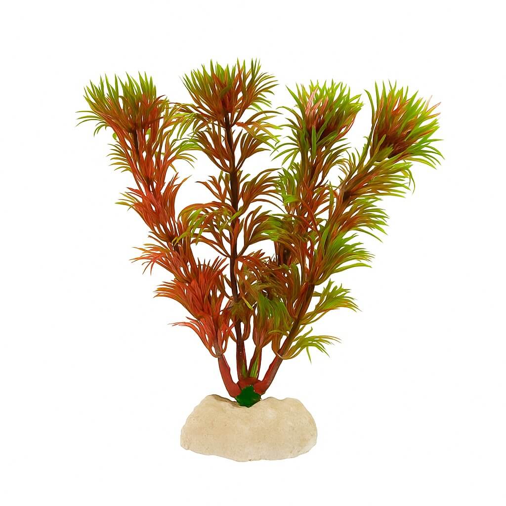 Plante de plastic acvariu Red Cabomba 13 cm 1 Plante de plastic Red Cabomba 13 cm, plante artificiale vibrante, plante decorative artificiale realiste si plante exotice artificiale pentru acvariu, contrast rosu-verde spectaculos si zero mentenanta.
