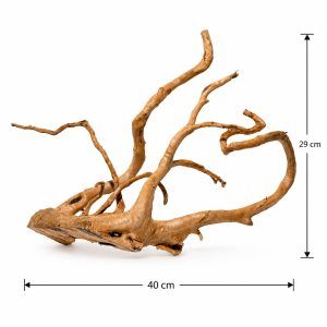 Radacina acvariu TW06 este alegerea ideala pentru un decor acvatic natural si spectaculos. Adauga lemn in acvariu cu textura unica si stabilitate. Lemn acvariu perfect pentru orice setup.