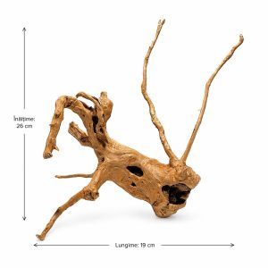 Radacini acvariu cu foto proprie TW25 si design deosebit. Lemn de acvariu pret mic, per bucata, accesibil oricarui buzunar. Lemn de acvariu unicat. Colectat din natura, atent preparat si gata de a fi introdus in acvariu fara nici un risc pentru pesti si plante.