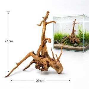 Radacina naturala pentru acvariu TW24, 29 cm lungime si 27 cm inaltime, prezentata cu exemplu de pozitionare intr-un acvariu plantat