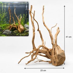 Radacini acvariu lemn natural TW13 aduc un aspect natural si autentic in acvariu. Radacini de acvariu unice, obtinute din lemn acvariu 100% natural, ideale pentru amenajari creative.