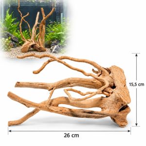 Radacini din lemn acvarii model TW02 unicat, 26 x 15,5 cm, cu exemplu de amenajare in acvariu