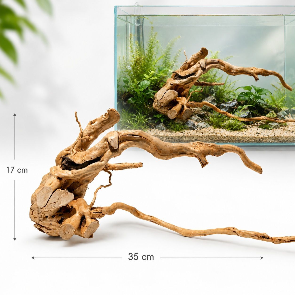 Red Moor Wood TW18 1 Red Moor Wood TW18 decor pentru acvariu cu dimensiuni 35 cm lungime si 17 cm inaltime, prezentat pe fundal luminos cu aplicare in acvariu plantat.