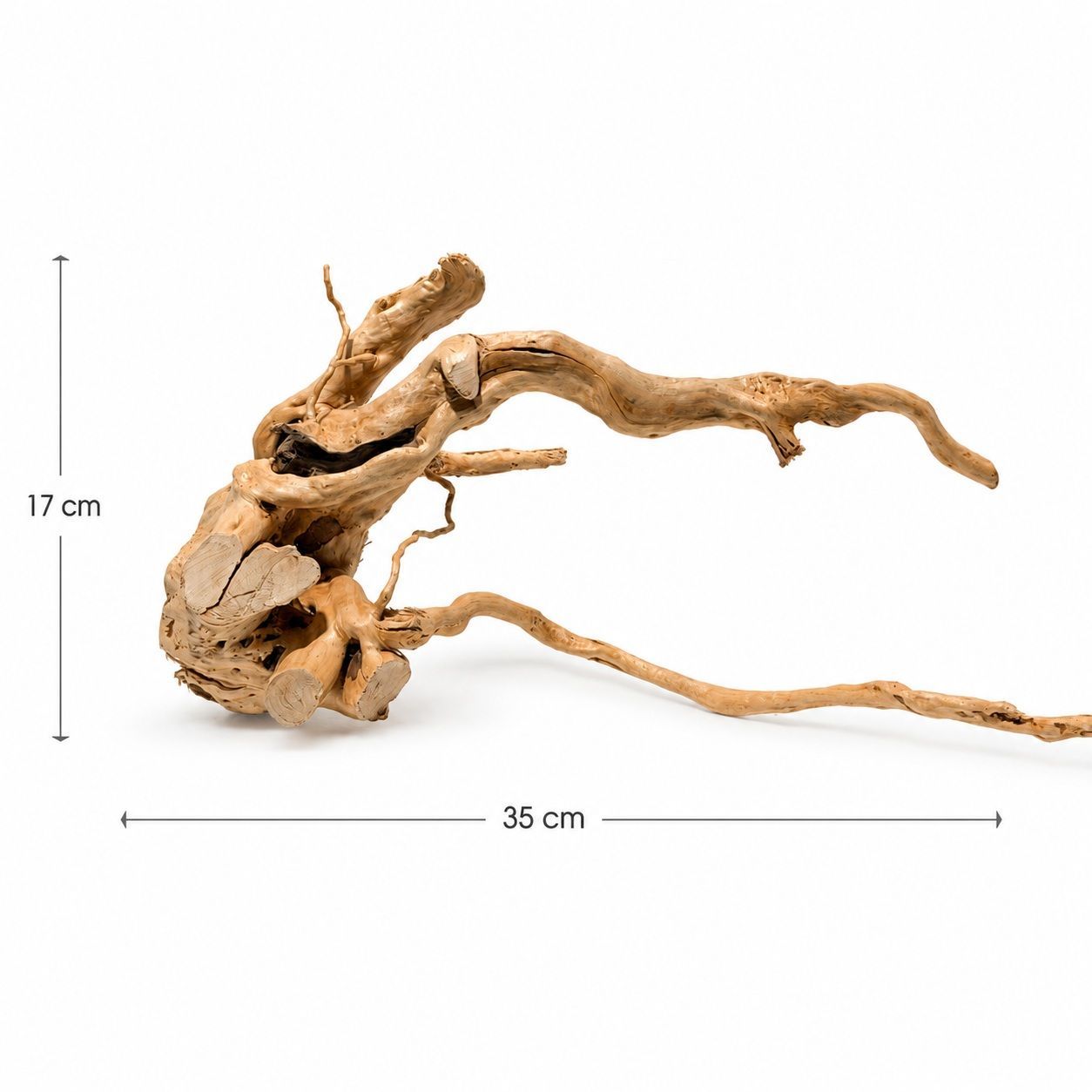 Red Moor Wood TW18 5 Red Moor Wood TW18 decor natural pentru acvariu, prezentat cu masuratori de 35 cm lungime si 17 cm inaltime.