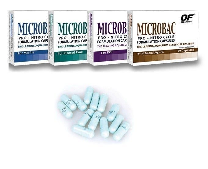 Bacterii benefice pentru ciclarea acvariilor Microbac o folie cu 10 capsule ( 1000 litri apa ) 2 Bacterii benefice pentru ciclarea acvariilor Microbac o folie cu 10 capsule ( 1000 litri apa )