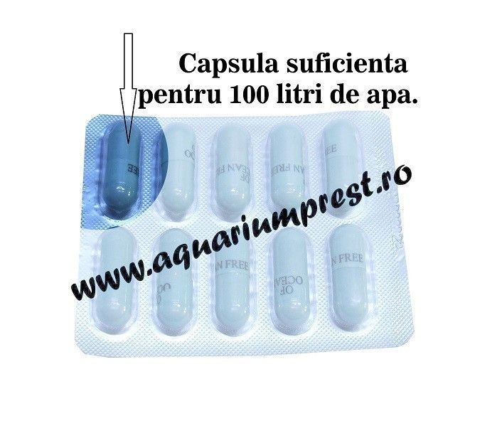 Bacterii benefice ciclare apa acvariu Microbac 1 capsula ( 100 litri apa ) 2 Bacterii benefice ciclare apa acvariu Microbac 1 capsula ( 100 litri apa )