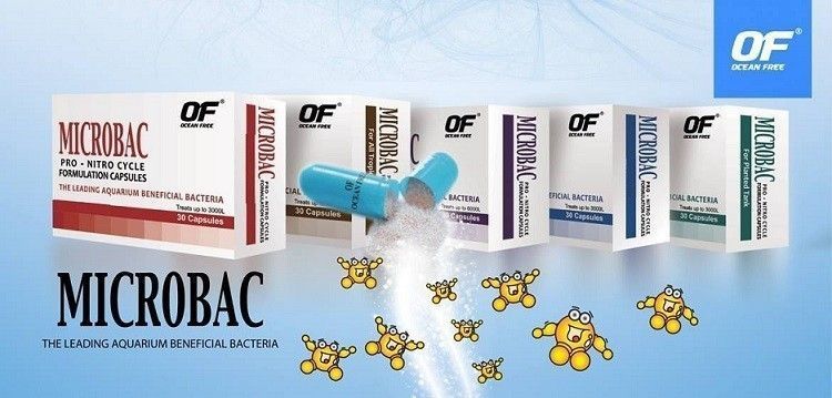 Bacterii benefice pentru ciclarea acvariilor Microbac o folie cu 10 capsule ( 1000 litri apa ) 3 Bacterii benefice pentru ciclarea acvariilor Microbac o folie cu 10 capsule ( 1000 litri apa )