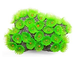Decor acvariu coral artificial Tubastrea aurea Y132A