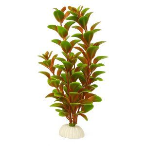 Plante acvariu apa dulce Red Ludwigia 20 cm, plante artificiale decorative cu frunze rosu-verzi realiste si baza ceramica stabila, plante artificiale sigure pentru pesti, ideale pentru aquascaping rapid in acvarii nano sau comunitare.