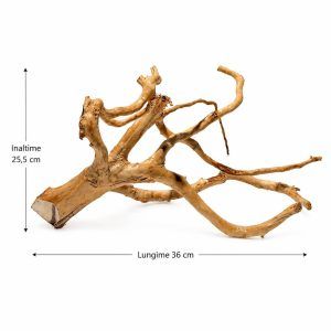 Red Moor Wood decor natural acvariu RM05 – Red Moor Wood perfect pentru decor natural acvariu, oferind un aspect unic si autentic!
