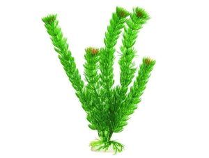 Planta plastic FLOWERING DIANDRA 16 inci 40 cm