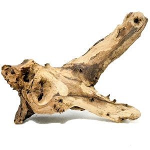 Mopani acvariu apa dulce model M4