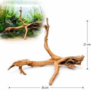 Radacina pentru acvariu Twity Wood Model TW28, 35 x 21 cm, cu exemplu de integrare intr-un acvariu plantat