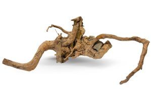 Radacini acvariu plantat Red Moor Wood RM09
