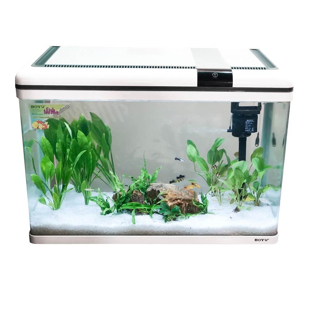 Acvariu Boyu alb cu margini curbate 128 litri XF-80 8 Acvariu Boyu alb cu un volum de 128 litri cu performante net superioare comparativ cu alte acvarii complet echipate. Model de acvariu led cu Smart Touch Control pentru o ușoară setare a sistemului de iluminare. Confecționat din sticlă clară. Colțurile frontale sunt curbate astfel că geamul din față și lateralele fac parte din aceeași foaie de sticlă. Avantajul este obținerea unei imagini mult mai clare și de efect a acvariului. Capacul și rama de la baza acvariului sunt confecționate din plastic ABS rezistent. Sistem de iluminare LED cu putere mărită de penetrare a luminii în masa apei pentru un iluminat corect, complet și cu un consum electric de numai 18W. Sistem de filtrare On-Top cu un debit de 960 litri pe oră și o putere electrică de 15W cu medii de filtrare propice pentru dezvoltarea bacteriilor benefice pentru filtrarea biologică și mecanică a apei. Sistem Smart Touch pentru controlul sistemului de iluminare cu mai multe moduri. Practic acest sistem permite controlul intensității luminii în acvariu. Dimensiuni exterioare ale acvariului: 80cm (Lungime) x 36,4cm (lățime) x 57cm (înălțime totală). Culoare: alb. Acvariul are capacitatea unui volum real de aproximativ 128 litri de apă. Material filtrant inclus: pad. Alimentarea se face la sistemul normal de energie electrică: 220 – 230 V / 50 Hz. Acvariu confecționat din sticlă cu capac din plastic. Compact și cu design inovativ.