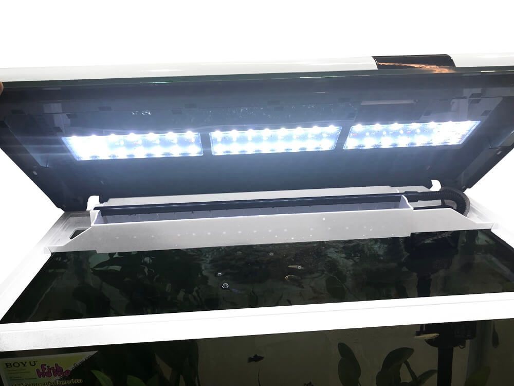 Acvariu Boyu alb cu margini curbate 128 litri XF-80 6 Acvariu Boyu alb cu un volum de 128 litri cu performante net superioare comparativ cu alte acvarii complet echipate. Model de acvariu led cu Smart Touch Control pentru o ușoară setare a sistemului de iluminare. Confecționat din sticlă clară. Colțurile frontale sunt curbate astfel că geamul din față și lateralele fac parte din aceeași foaie de sticlă. Avantajul este obținerea unei imagini mult mai clare și de efect a acvariului. Capacul și rama de la baza acvariului sunt confecționate din plastic ABS rezistent. Sistem de iluminare LED cu putere mărită de penetrare a luminii în masa apei pentru un iluminat corect, complet și cu un consum electric de numai 18W. Sistem de filtrare On-Top cu un debit de 960 litri pe oră și o putere electrică de 15W cu medii de filtrare propice pentru dezvoltarea bacteriilor benefice pentru filtrarea biologică și mecanică a apei. Sistem Smart Touch pentru controlul sistemului de iluminare cu mai multe moduri. Practic acest sistem permite controlul intensității luminii în acvariu. Dimensiuni exterioare ale acvariului: 80cm (Lungime) x 36,4cm (lățime) x 57cm (înălțime totală). Culoare: alb. Acvariul are capacitatea unui volum real de aproximativ 128 litri de apă. Material filtrant inclus: pad. Alimentarea se face la sistemul normal de energie electrică: 220 – 230 V / 50 Hz. Acvariu confecționat din sticlă cu capac din plastic. Compact și cu design inovativ.
