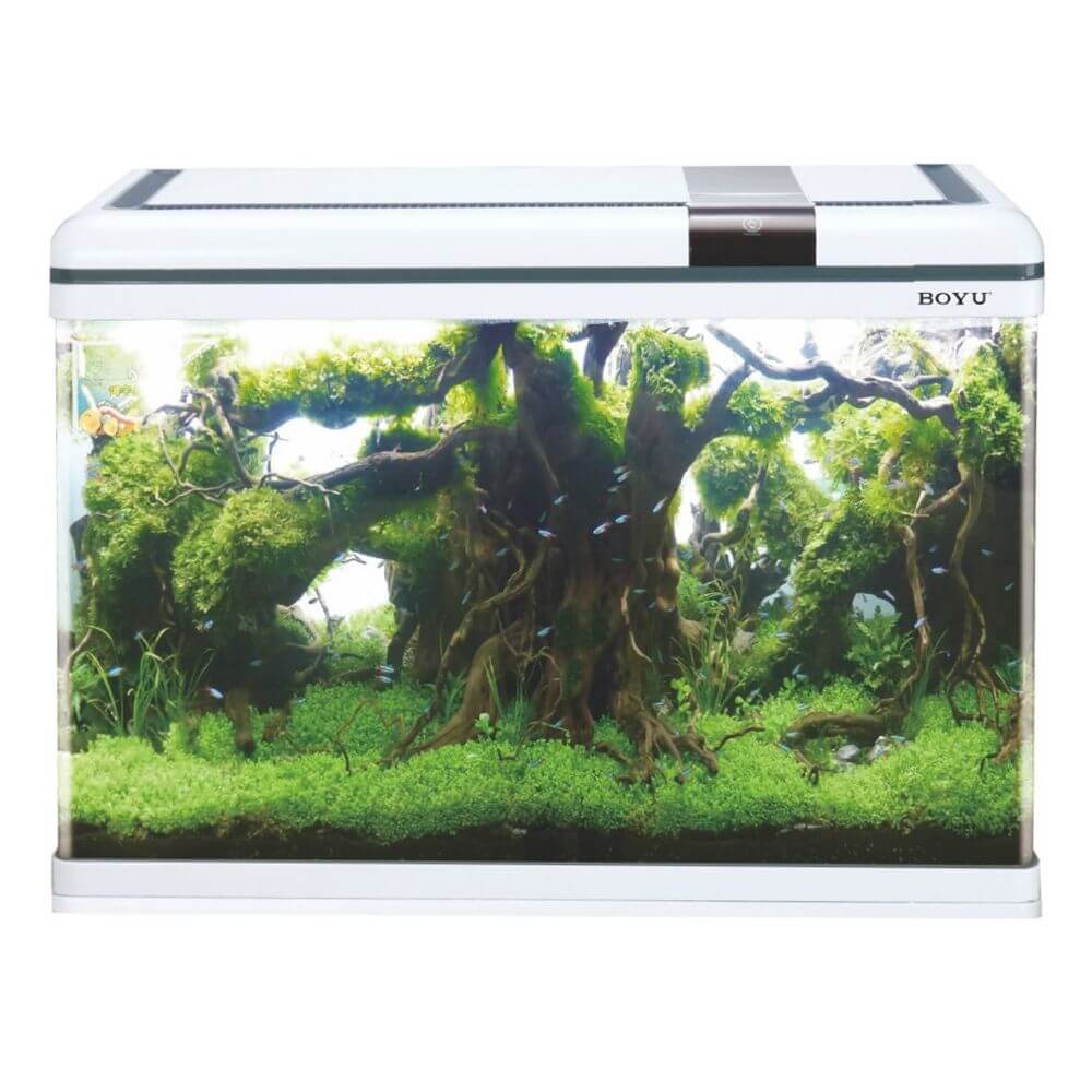 Acvariu Boyu alb cu margini curbate 128 litri XF-80 3 Acvariu Boyu alb cu un volum de 128 litri cu performante net superioare comparativ cu alte acvarii complet echipate. Model de acvariu led cu Smart Touch Control pentru o ușoară setare a sistemului de iluminare. Confecționat din sticlă clară. Colțurile frontale sunt curbate astfel că geamul din față și lateralele fac parte din aceeași foaie de sticlă. Avantajul este obținerea unei imagini mult mai clare și de efect a acvariului. Capacul și rama de la baza acvariului sunt confecționate din plastic ABS rezistent. Sistem de iluminare LED cu putere mărită de penetrare a luminii în masa apei pentru un iluminat corect, complet și cu un consum electric de numai 18W. Sistem de filtrare On-Top cu un debit de 960 litri pe oră și o putere electrică de 15W cu medii de filtrare propice pentru dezvoltarea bacteriilor benefice pentru filtrarea biologică și mecanică a apei. Sistem Smart Touch pentru controlul sistemului de iluminare cu mai multe moduri. Practic acest sistem permite controlul intensității luminii în acvariu. Dimensiuni exterioare ale acvariului: 80cm (Lungime) x 36,4cm (lățime) x 57cm (înălțime totală). Culoare: alb. Acvariul are capacitatea unui volum real de aproximativ 128 litri de apă. Material filtrant inclus: pad. Alimentarea se face la sistemul normal de energie electrică: 220 – 230 V / 50 Hz. Acvariu confecționat din sticlă cu capac din plastic. Compact și cu design inovativ.