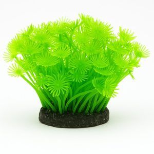 Decoratiune coral acvariu ideala pentru a crea un peisaj realist in acvariu recif. Perfecta pentru decor acvariu apa dulce si amenajare acvariu naturala, adauga culoare si profunzime spatiului subacvatic.