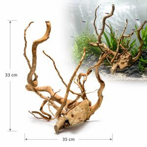 Radacina acvariu pentru pesti TW31 de la AquariumPrest, perfecta pentru decor natural; descopera tipuri de lemn pentru acvariu unice si durabile.