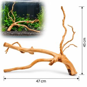 Radacini de lemn acvariu TW03 47 x 45 cm cu exemplu de amenajare in acvariu plantat