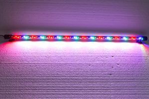 Corp iluminat acvariu LED 86 cm, lampa led acvariu cu banda led rigida 220V, ideala pentru iluminare acvariu cu leduri, lumina intensa interschimbabila. Corp iluminat acvariu LED 86 cm lumina interschimbabila – Solutia ideala pentru acvariul tau si decoratiuni acvatice! Acest corp iluminat acvariu LED 86 cm este creat special pentru pasionatii de acvaristica si pentru cei ce doresc un sistem de iluminare eficient, sigur si versatil, potrivit pentru o gama variata de aplicatii. Cu 64 de leduri de inalta calitate, acest corp de iluminat este perfect pentru iluminare acvariu cu leduri, fiind dotat cu o banda led rigida 220V complet izolata si rezistenta la umiditate. Caracteristici si beneficii principale: Lungime ideala de 86 cm: Potrivita pentru acvarii de dimensiuni mari, aceasta lampa asigura o acoperire uniforma, iluminand optim orice colt al acvariului si accentuand culorile pestilor si plantelor acvatice. Leduri durabile si eficiente: Cele 64 de leduri sunt concepute sa mentina un nivel ridicat de luminozitate in timp, fara a-si reduce intensitatea, asigurand o performanta constanta si de lunga durata. Banda led rigida 220V: Acest corp de iluminat poate fi utilizat atat in apa, cat si pe uscat, fiind complet izolat impotriva umiditatii, ceea ce il face sigur si eficient pentru utilizare in orice mediu acvatic. Moduri de iluminare interschimbabile: Sistemul permite iluminare in trei moduri diferite, combinand culorile alb, albastru, rosu, verde si portocaliu pentru a oferi variatii de iluminare adaptabile nevoilor tale. Aceste moduri se pot ajusta cu ajutorul butonului de control de pe alimentator. Siguranta si functionalitate: Functionare la tensiune joasa: Proiectata pentru a functiona la tensiuni joase, aceasta lampa elimina riscul unei electrocutari accidentale, asigurand astfel utilizare in conditii de maxima siguranta, atat in interiorul acvariilor, cat si in alte decoratiuni acvatice sau exterioare. Iluminare focalizata si penetrare excelenta a luminii: Cu un design subtire de numai 22 mm diametru, lampa permite focalizarea luminii direct pe elementele din acvariu, cum ar fi plantele sau decoratiunile, oferind o rata excelenta de penetrare a luminii in masa apei. Rotire ajustabila: Lampa este echipata cu clipsuri cu ventuze ce permit rotirea si reglarea unghiului de lumina, asigurand iluminarea optima a fiecarei zone din acvariu. Aplicatii multiple: Iluminare acvariu cu leduri: Corpul iluminat este ideal pentru orice tip de acvariu, oferind un mediu sanatos si vibrant pentru pestii si plantele acvatice. Iluminarea uniforma si intensitatea ajustabila fac din aceasta lampa o alegere excelenta pentru acvarii de apa dulce sau sarata. Utilizare in iazuri, fantani arteziene si gradini: Datorita protectiei IP67 si a functionarii la tensiuni joase, lampa poate fi utilizata si pentru iluminatul decoratiunilor exterioare, cum ar fi iazuri, fantani sau spatii verzi, creand efecte vizuale spectaculoase. Versatilitate in iluminatul interior: Poate fi utilizata si in incaperi, pentru iluminarea rafturilor, mobilierului sau altor elemente decorative. Specificatii tehnice: Lungime lampa: 86 cm Numar de leduri: 64 Consum energie: 32W Tensiune alimentare: 220-240V, 50-60Hz Diametru lampa: 22 mm Lungime cablu pana la transformator: 109 cm Lungime totala cablu electric: 140 cm Moduri de iluminare: – Toate ledurile aprinse pentru o iluminare completa – Albastru + Alb pentru un efect nocturn relaxant – Rosu + Albastru + Verde + Portocaliu pentru o iluminare colorata si dinamica Design si eficienta energetica: Lampa LED este complet submersibila si nu degaja caldura in timpul functionarii, ceea ce o face sigura pentru toate tipurile de vietuitoare acvatice. De asemenea, cu un consum redus de energie, acest produs asigura o iluminare intensa, mentinand in acelasi timp costurile de utilizare la un nivel minim. Ledurile sunt special concepute sa nu emita substante toxice, fiind sigure pentru mediul acvatic si ajutand plantele sa se dezvolte in conditii optime. Acest Corp iluminat acvariu LED 86 cm lumina interschimbabila este alegerea ideala pentru pasionatii de acvaristica ce doresc o lampa fiabila, versatila si eficienta. Cu optiuni de iluminare multiple si o constructie durabila, aceasta lampa asigura nu doar un design estetic acvariului tau, ci si un mediu sanatos si bine iluminat pentru pestii si plantele tale.