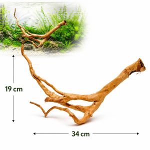 Decor lemn acvariu model LM01 Red Moor Wood, 34 x 19 cm, prezentat pe fundal alb si integrat intr-un acvariu plantat