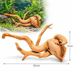 Lemn de Red Moor pentru acvariu LM03, 29 x 15 cm, cu imagine de utilizare in acvariu plantat