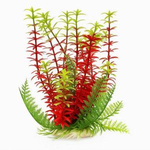 Plante acvariu rosii 18 cm Red Egeria aduc vibranta culoare rubinie in acvariul tau. Plante decorative artificiale realiste, plante artificiale sigure, cu baza ceramica stabila ce nu modifica parametrii apei. Ideale pentru aquascaping modern si intretinere minima.