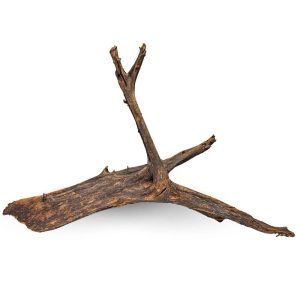 Radacina naturala Driftwood XXL decor autentic acvariu