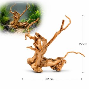 Radacina naturala acvariu foto proprie LM04, 32 x 22 cm, cu exemplu de amplasare intr-un acvariu plantat