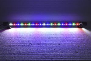 Lampa LED cu lumina compozita 56 cm, iluminat acvariu cu leduri colorate, perfecta ca lampa submersibila cu leduri colorate si lampa led acvariu plantat. Lampa LED cu lumina compozita de 56 cm echipata cu 40 de leduri este ideala pentru iluminatul acvariilor plantate si a spatiilor submersibile. Aceasta lampa submersibila echipata cu leduri colorate este proiectata sa imbunatateasca instantaneu aspectul acvariului tau, adaugand o lumina vibranta si compozita, care accentueaza plantele si ornamentele subacvatice. Caracteristici principale: Iluminat acvariu cu leduri: Cele 40 de leduri emit o lumina intensa si compozita, perfecta pentru acvariile plantate. Lampa submersibila cu leduri colorate: Trei moduri diferite de combinare a culorilor, oferind un efect vizual captivant si personalizabil. Siguranta maxima: Functioneaza la tensiuni joase, eliminand riscul de electrocutare accidentala si oferind o solutie sigura pentru iluminatul submersibil. Design subtire si elegant: Cu un diametru de doar 22 mm, lampa este discreta si eficienta, fara a degaja caldura in timpul functionarii. Flexibilitate: Poate fi utilizata atat in apa, cat si in exterior, ideala pentru acvarii, iazuri, fantani arteziene, sau chiar iluminatul decorativ al gradinilor. Cablu de alimentare suficient: 140 cm iar lungimea cablului pana la transformator: 109 cm. Moduri variate de iluminare: – toate ledurile – albastru + alb – rosu + albastru + verde + alb Beneficii: Durata lunga de viata si consum redus: Ledurile sunt concepute pentru a functiona pe termen lung cu un consum minim de energie, de doar 10W. Instalare rapida: Lampa vine complet echipata cu toate accesoriile necesare, inclusiv ventuze pentru fixare si un buton de control al culorii. Sanatate optima pentru plantele acvatice: Emite o lumina fara radiatii UV si nu degaja substante toxice, contribuind la un mediu acvatic sanatos. Aplicatii: Iluminat acvariu plantat: Perfecta pentru evidentierea plantelor si pestilor din acvariu, asigurand o penetrare excelenta a luminii in masa apei. Decor submersibil: Ideala pentru iluminatul fantanilor arteziene, iazurilor sau chiar pentru decorarea bailor si a vitrinelor. Alege lampa LED cu lumina compozita de 56 cm pentru un iluminat acvariu eficient si estetic, care aduce un plus de farmec si siguranta mediului acvatic.