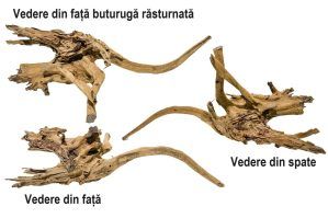 XXL08 Decor acvariu Drift Wood Urias-0