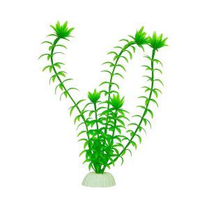 Iarba acvariu Anacharis 20 cm, plante artificiale verzi flexibile, plante acvariu durabile; baza ceramica stabilizeaza decorul si mentine pozitia verticala, plastic sigur nu schimba parametrii, usor de clatit, ideal pentru aquascaping rapid in bazine comunitare sau nano.