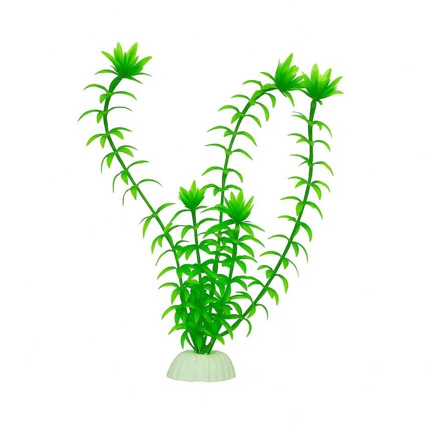 Iarba acvariu artificiala 20 cm Anacharis 1 Iarba acvariu Anacharis 20 cm, plante artificiale verzi flexibile, plante acvariu durabile; baza ceramica stabilizeaza decorul si mentine pozitia verticala, plastic sigur nu schimba parametrii, usor de clatit, ideal pentru aquascaping rapid in bazine comunitare sau nano.