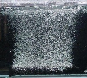 Piatra de aer acvariu cilindrica 7x1,5 cm, difuzor aer acvariu cu bule fine. Perfecta pentru cresterea nivelului de oxigen si o dispersie uniforma in acvariu.