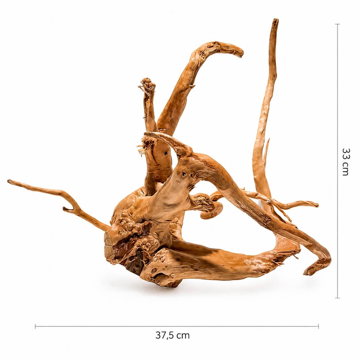 Radacina ornamentala acvariu LM15 1 Radacina ornamentala acvariu LM15, un element de decor lemn acvariu ce adaugă frumusețe valoare peisajului acvatic. Primiti exact produsul prezentat in imagine!