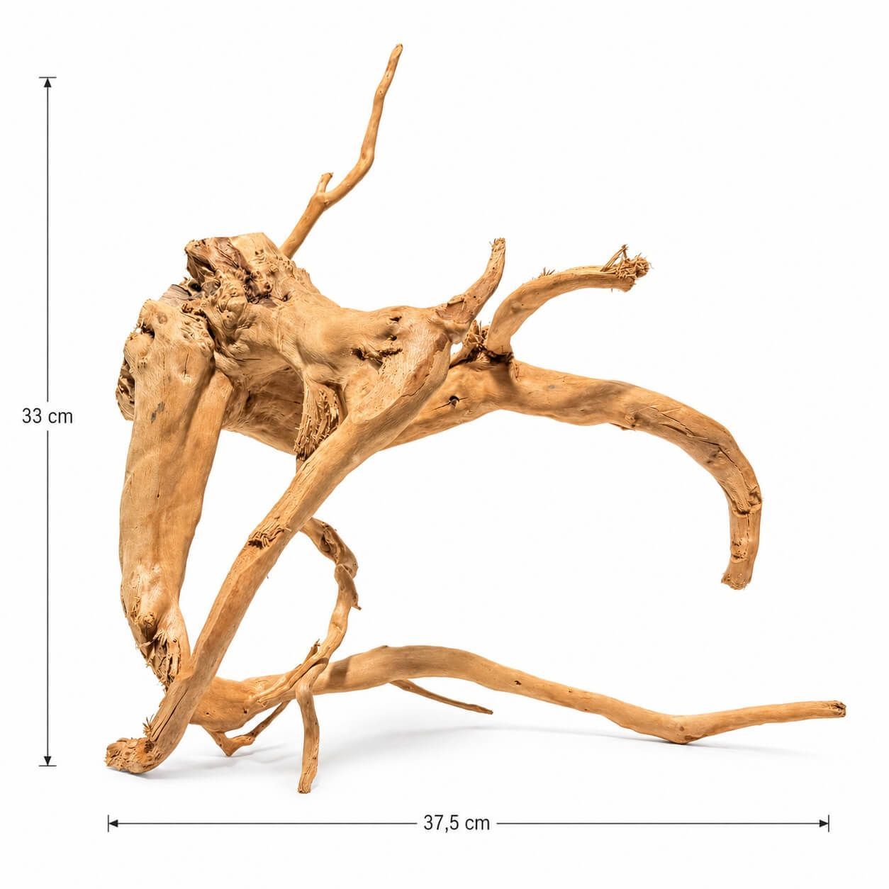 Radacina ornamentala acvariu LM15 4 Contribuie la echilibrul ebiologic al acvariului: Lemnul natural poate influența ușor compoziția chimică a apei de exemplu prin eliberarea de taninuri care pot avea efecte benefice asupra unor specii de pești și plante. Beneficii pentru microfloră: Suprafața poroasă a lemnului este un loc excelent pentru colonizarea bacteriilor benefice care joacă un rol crucial în ciclul azotului din acvariu.
